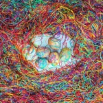 ΚΛΩΣΤΕΣ ΒΑΦΗΣ ΓΙΑ ΑΥΓΑ ΠΟΛΥΧΡΩΜΕΣ ΦΛΟΣ